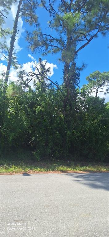 A view of a vacant, heavily wooded lot from an adjacent paved road — 526 OSAGE AVENUE S, LEHIGH ACRES, FL