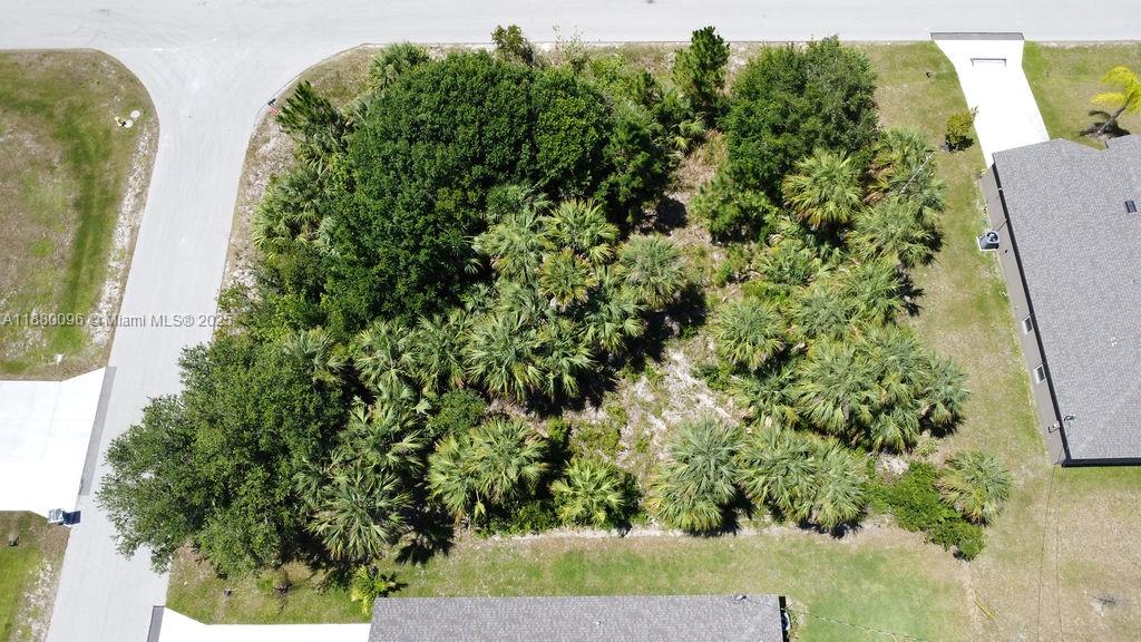 An aerial view shows a vacant, wooded residential lot situated between two houses — 0 0, Palm Bay FL 32908, PALM BAY, FL