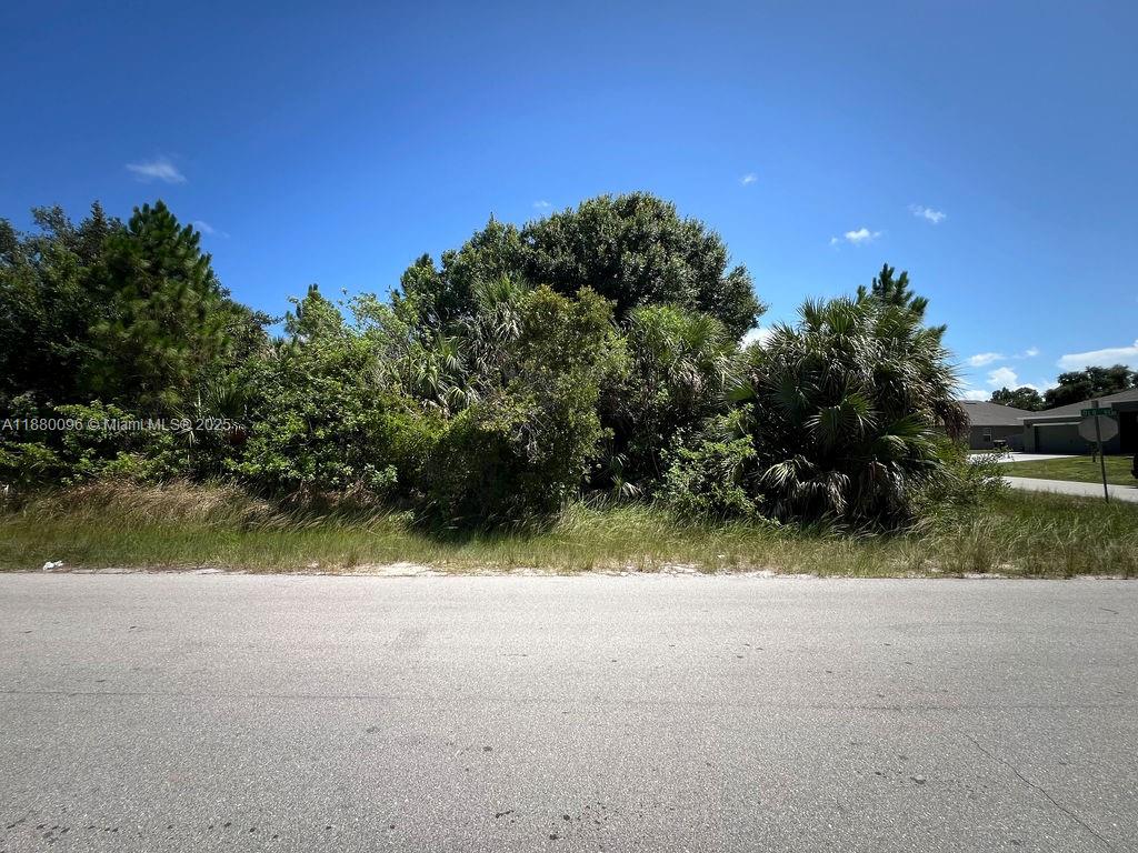 A vacant, overgrown lot sits beside a paved road under a clear blue sky — 0 0, Palm Bay FL 32908, PALM BAY, FL