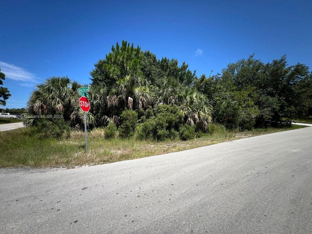 A stop sign stands at a road intersection next to dense trees and vegetation — 0 0, Palm Bay FL 32908, PALM BAY, FL