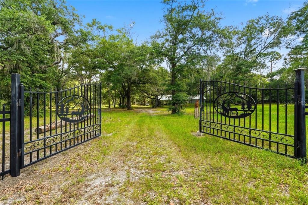 An open black metal gate with deer silhouettes leads to a grassy driveway among trees — 1425 PIONEER DRIVE, LAKELAND, FL