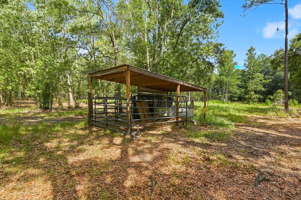 A metal-roofed livestock shelter stands in a wooded, grassy field — 1425 PIONEER DRIVE, LAKELAND, FL