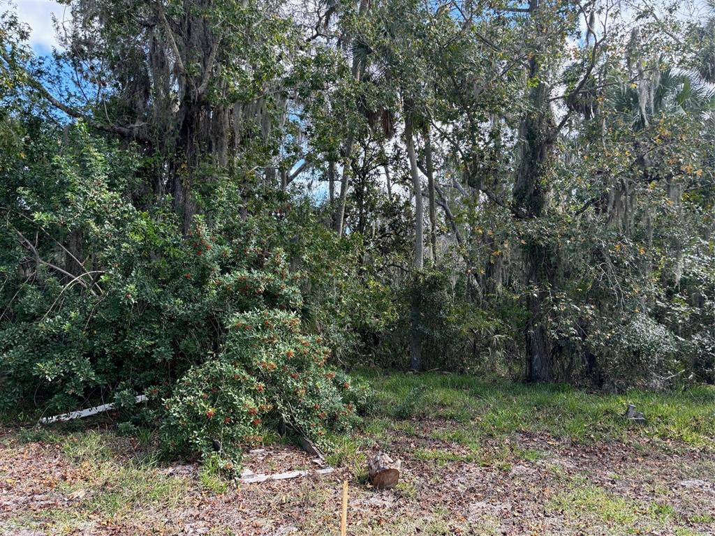 0 KOLB PLACE, HUDSON, FL — photo 2 of 4