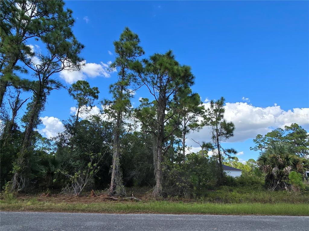 1017 LAKESIDE DRIVE, LEHIGH ACRES, FL — photo 2 of 2