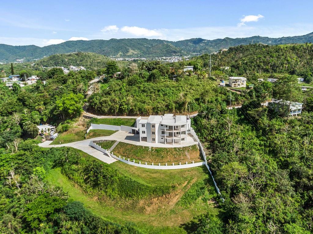 An aerial view shows a modern multi-story house situated on a hillside surrounded by trees — CARR 171 MOGOTE, CAYEY, PR