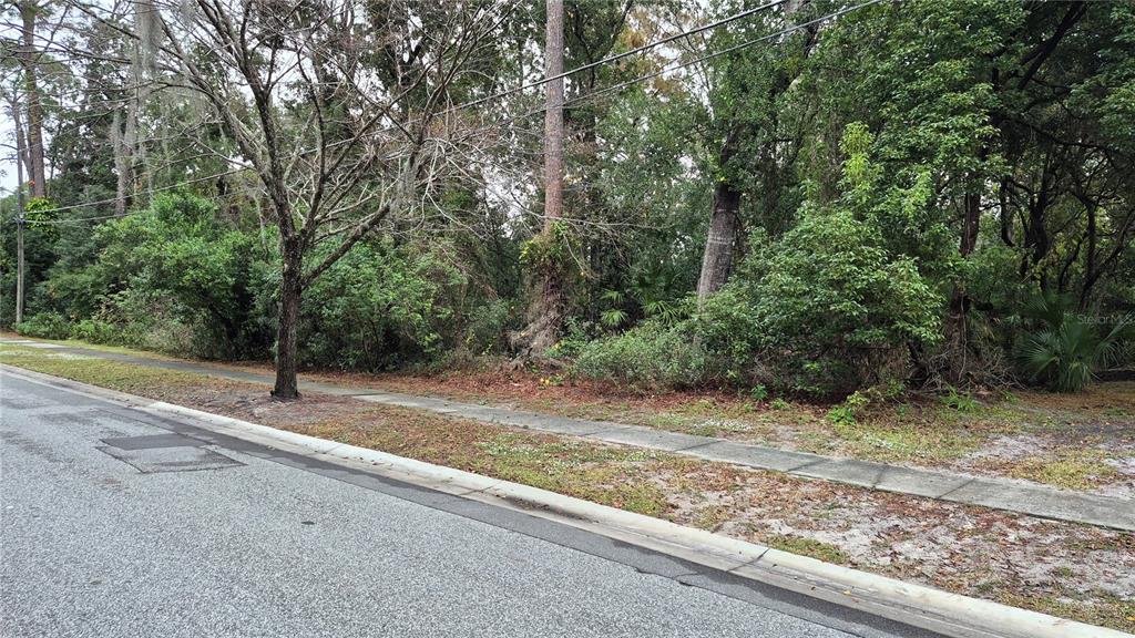 A vacant, wooded residential lot sits behind a concrete sidewalk and paved street — S EDGEMON AVENUE, WINTER SPRINGS, FL