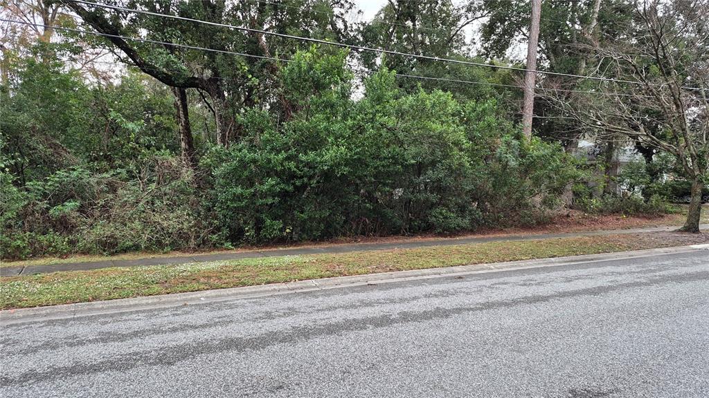 A vacant, wooded lot sits behind a sidewalk and a paved road — S EDGEMON AVENUE, WINTER SPRINGS, FL