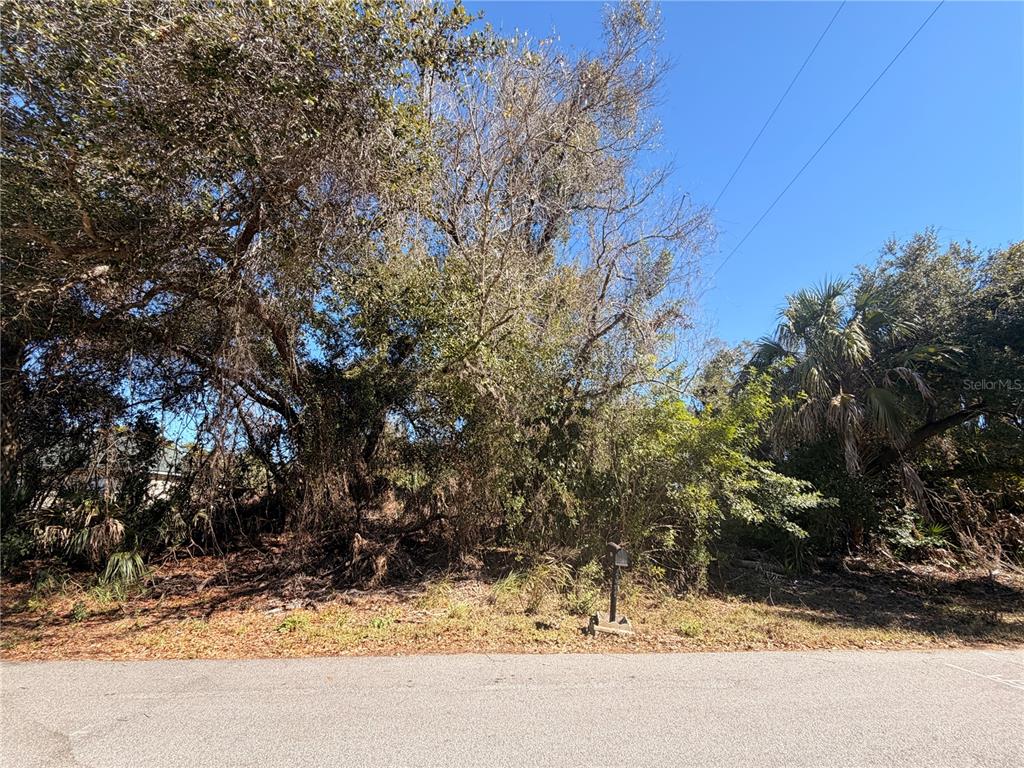 A vacant, wooded residential lot sits alongside a paved road under a clear blue sky — 384 SKYLAND LANE, PORT CHARLOTTE, FL