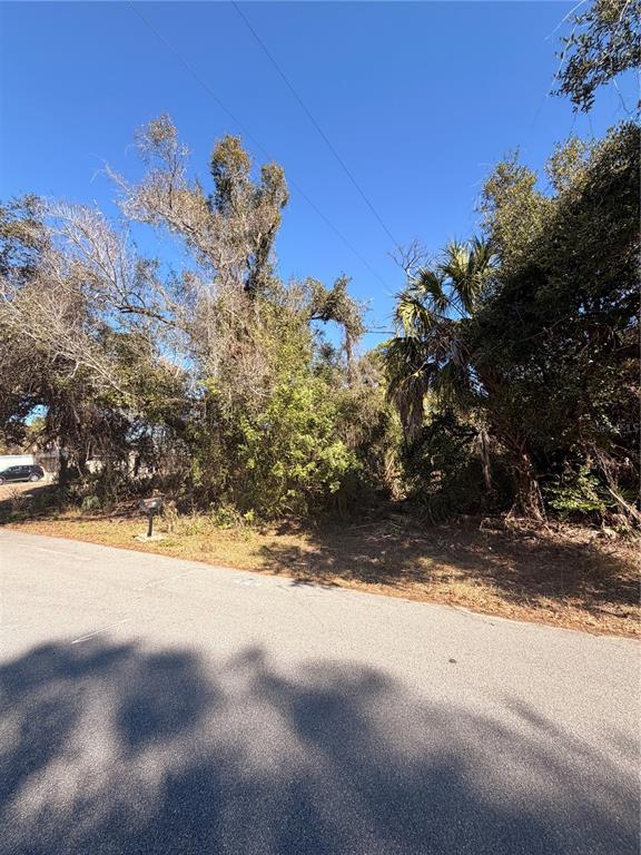 A vacant, wooded residential lot sits along a paved road under a clear blue sky — 384 SKYLAND LANE, PORT CHARLOTTE, FL