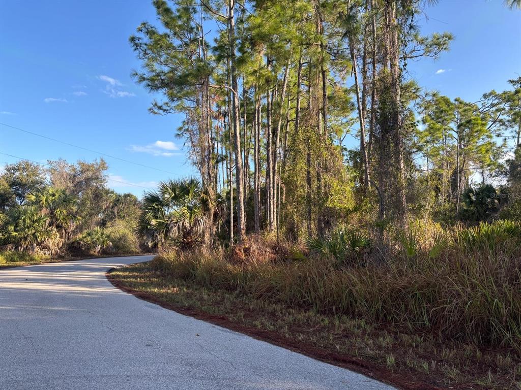 A paved road curves past a wooded lot with tall pine trees and native vegetation — BISMARCK ROAD, NORTH PORT, FL