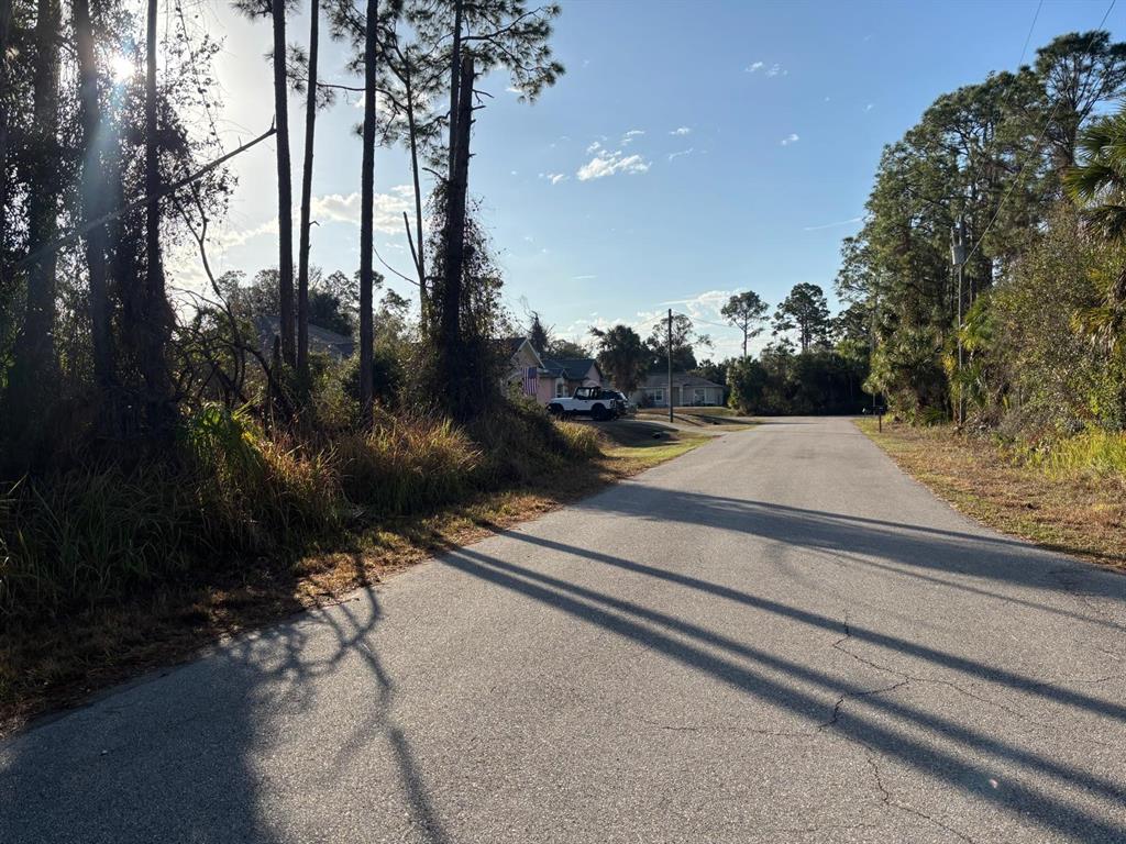 A paved road leads past a wooded area toward houses on a sunny day — BISMARCK ROAD, NORTH PORT, FL