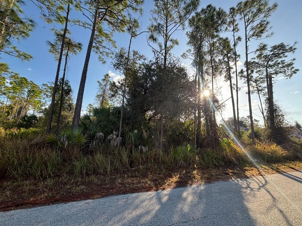 A wooded, undeveloped residential lot is viewed from the edge of an asphalt road — BISMARCK ROAD, NORTH PORT, FL