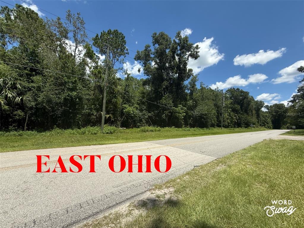 A paved road runs alongside a wooded lot under a blue sky with scattered clouds — NO STREET, LAKE HELEN, FL