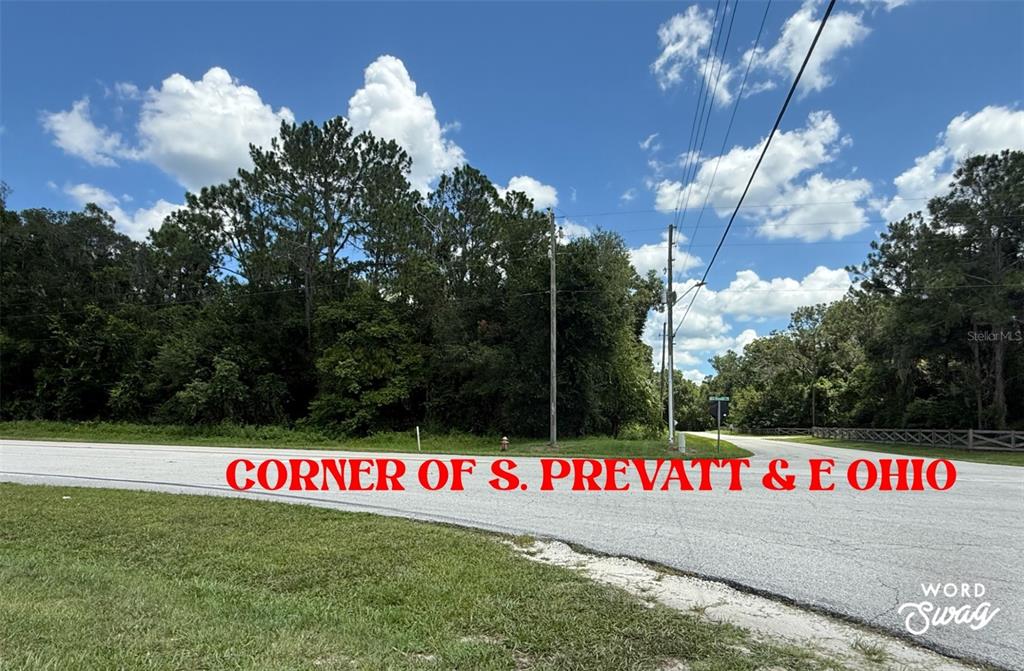 A paved road intersection borders a wooded lot under a blue sky with clouds — NO STREET, LAKE HELEN, FL