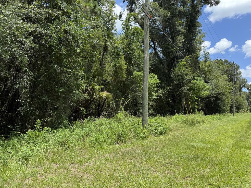 A utility pole stands near a dense line of trees bordering a grassy field — NO STREET, LAKE HELEN, FL