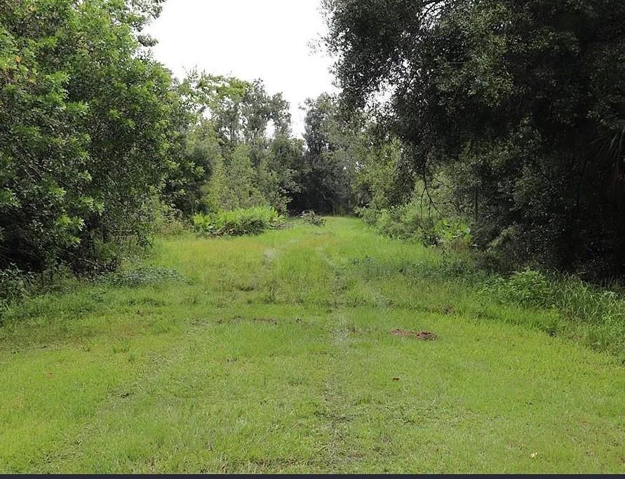A grassy path leads through a wooded area on a plot of land — 21331 NW 250th Street, Okeechobee FL 34972, OKEECHOBEE, FL