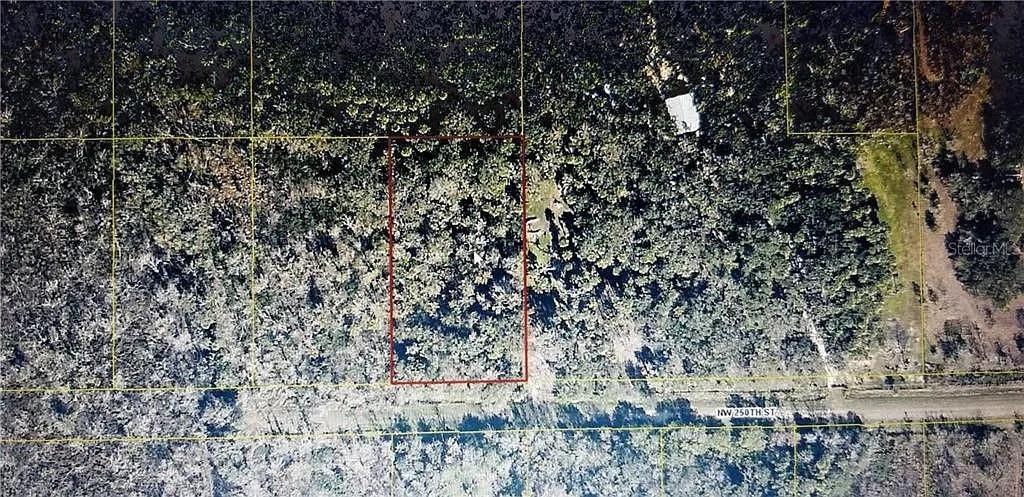 An aerial view shows a rectangular, wooded plot of land bordered by a dirt road — 21331 NW 250th Street, Okeechobee FL 34972, OKEECHOBEE, FL
