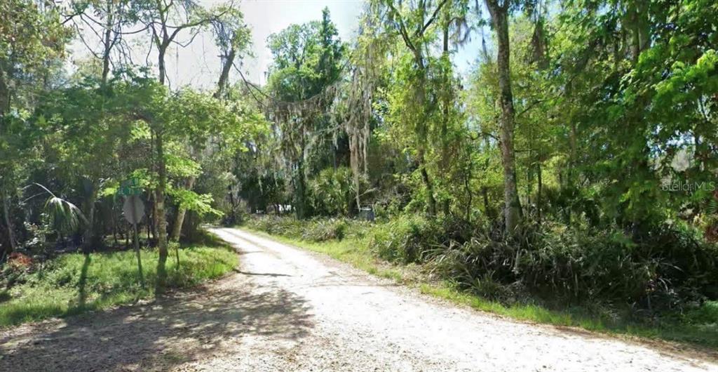 A dirt road leads into a wooded area with dense trees and hanging Spanish moss — SE 75TH STREET, GAINESVILLE, FL
