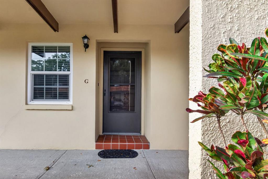 A front entryway with a dark door, a window, and a plant on the right — 1701 PINEHURST ROAD UNIT 23G, DUNEDIN, FL
