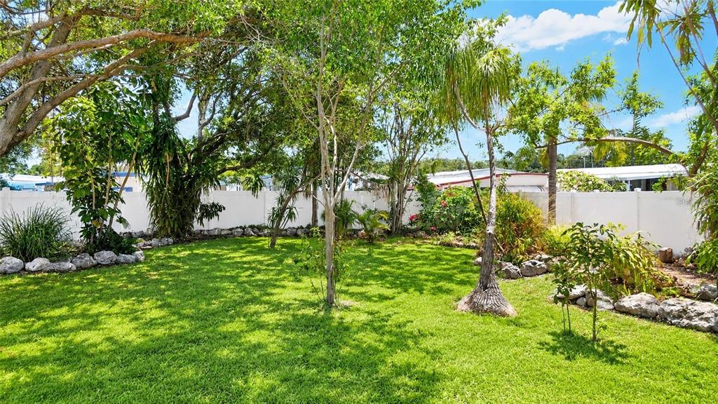 A grassy backyard features mature trees, tropical plants, and a white privacy fence — 4501 70TH STREET N, ST PETERSBURG, FL