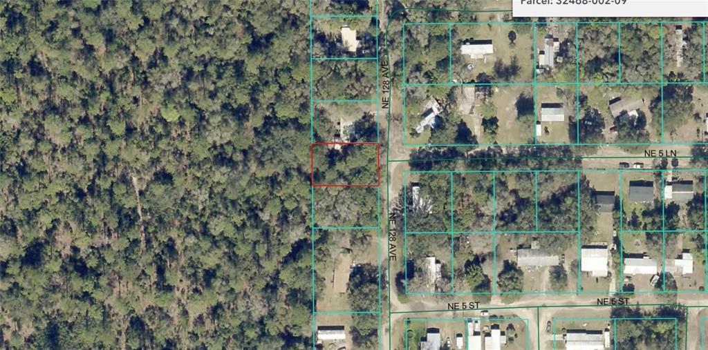 This is an aerial map showing a vacant, wooded residential lot outlined in red — NE 128TH AVENUE, SILVER SPRINGS, FL