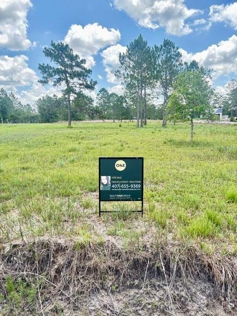 A real estate sign stands in a grassy, undeveloped lot with scattered trees — CAESAR AVENUE, ORLANDO, FL