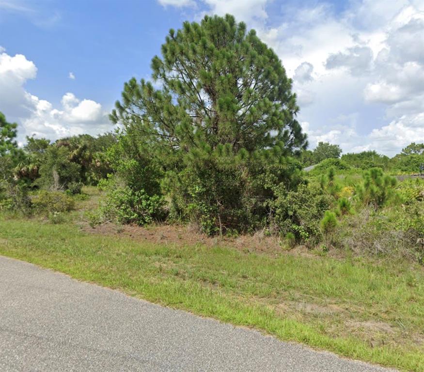 A large pine tree stands on a grassy, undeveloped lot next to an asphalt road — 000 S PARAGON ROAD, NORTH PORT, FL