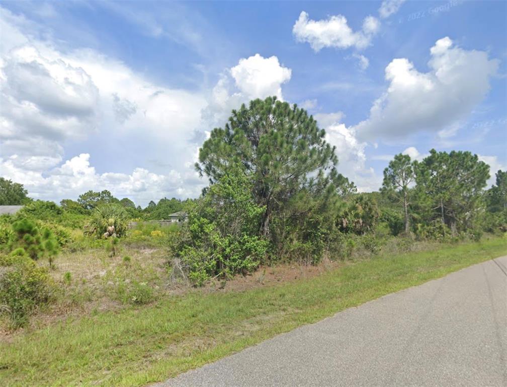 A vacant, grassy lot with trees and shrubs sits beside a paved road under clouds — 000 S PARAGON ROAD, NORTH PORT, FL
