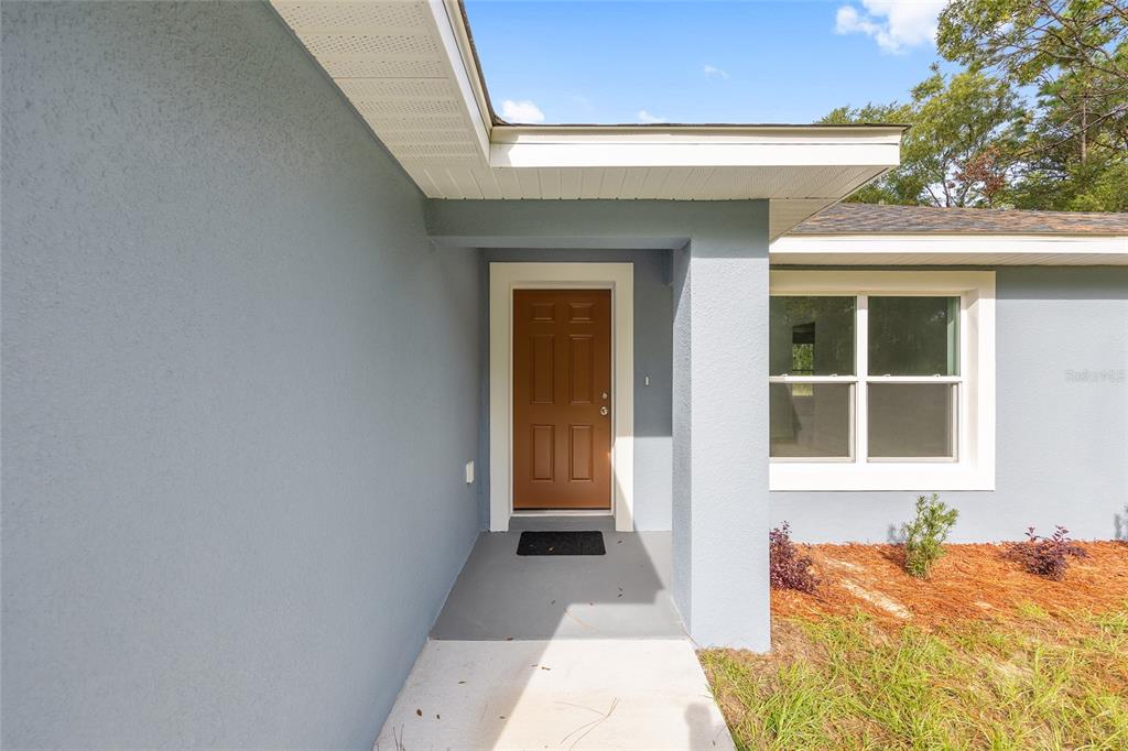 The exterior of a house features a blue stucco wall, a brown front door, and a window — 2110 SW 159TH COURT, OCALA, FL