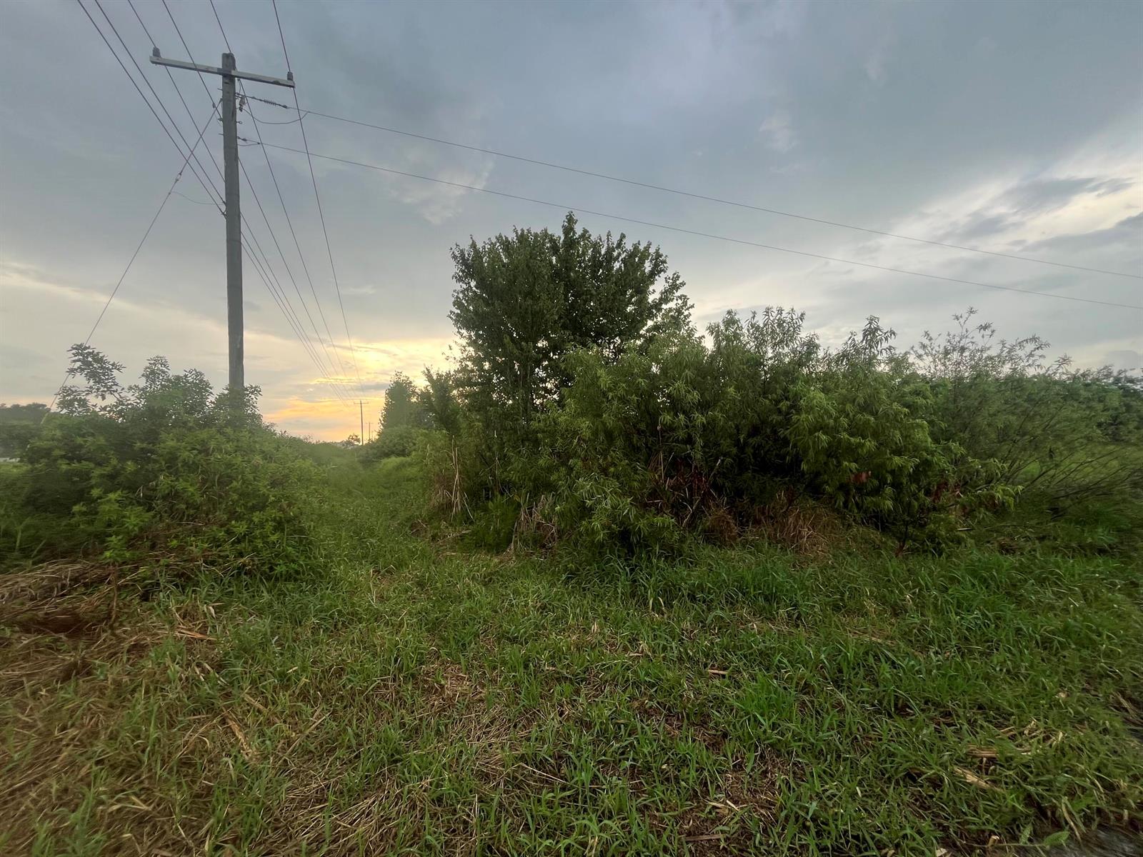 A utility pole stands beside a grassy field with overgrown bushes under a cloudy sky — 0 E State Rd 60, Okeechobee FL 34972, OKEECHOBEE, FL