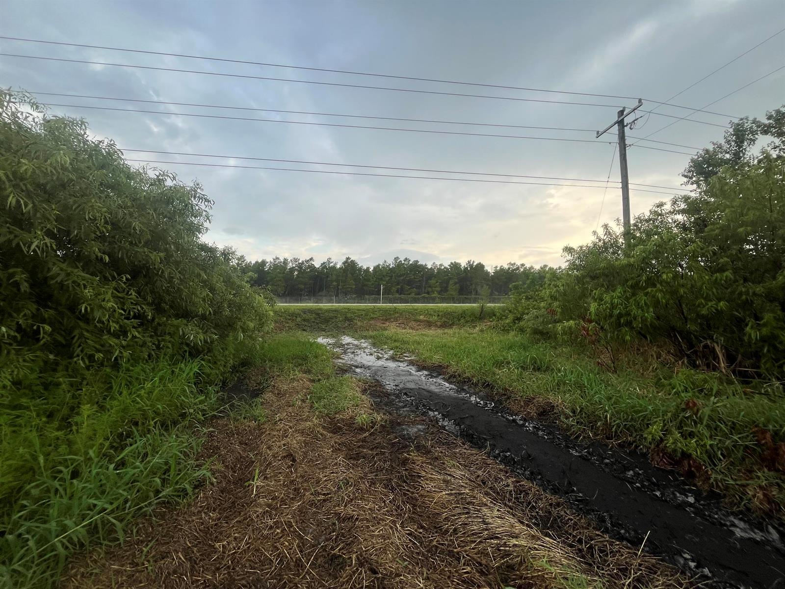 A muddy dirt path leads through a grassy field toward a line of trees — 0 E State Rd 60, Okeechobee FL 34972, OKEECHOBEE, FL