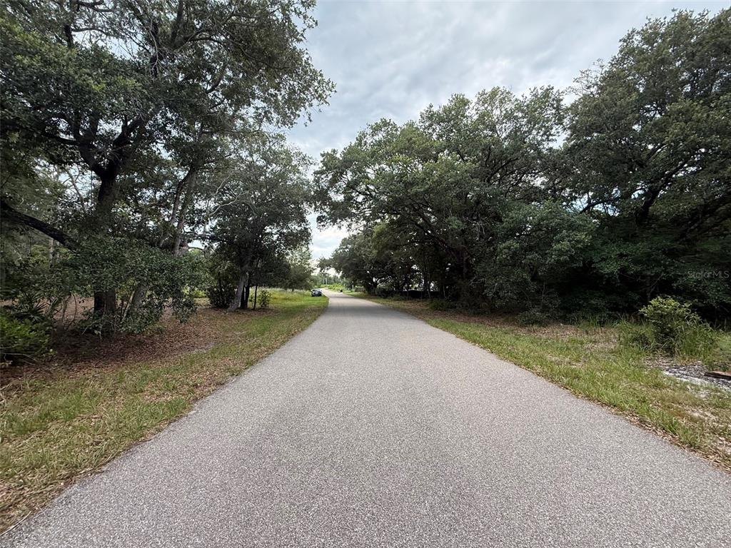 A paved road stretches forward, flanked by dense trees and grassy shoulders under a cloudy sky — 1012 WILDFLOWER STREET, LAKE PLACID, FL