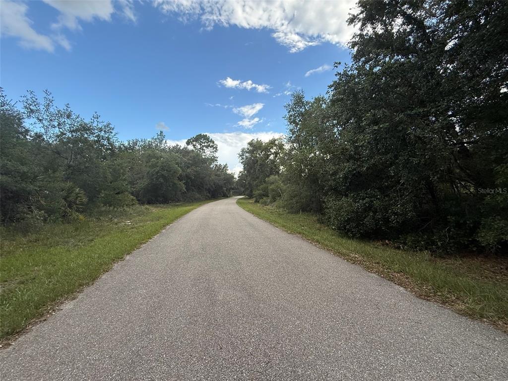 A paved road stretches into the distance, flanked by dense green trees and grassy shoulders — 1012 WILDFLOWER STREET, LAKE PLACID, FL