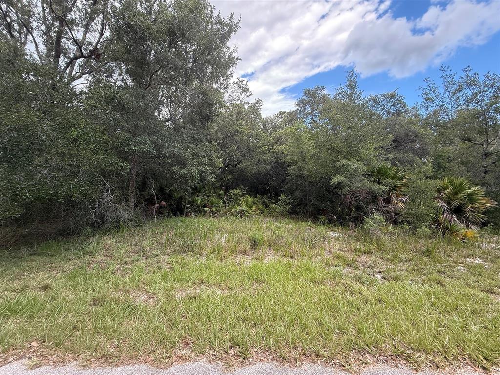 A grassy, undeveloped lot is bordered by dense trees and shrubs under a cloudy sky — 1012 WILDFLOWER STREET, LAKE PLACID, FL