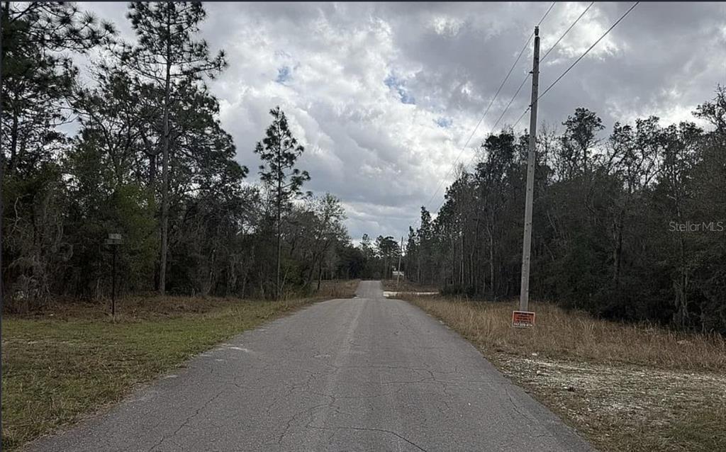 0 NE 16TH PLACE, WILLISTON, FL — photo 2 of 3