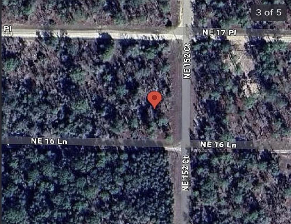 0 NE 16TH PLACE, WILLISTON, FL — photo 3 of 3