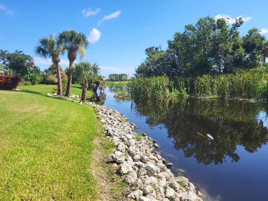 A grassy lawn borders a rocky shoreline along a pond with tall reeds and palm trees — 20 PINEHURST PLACE, ROTONDA WEST, FL