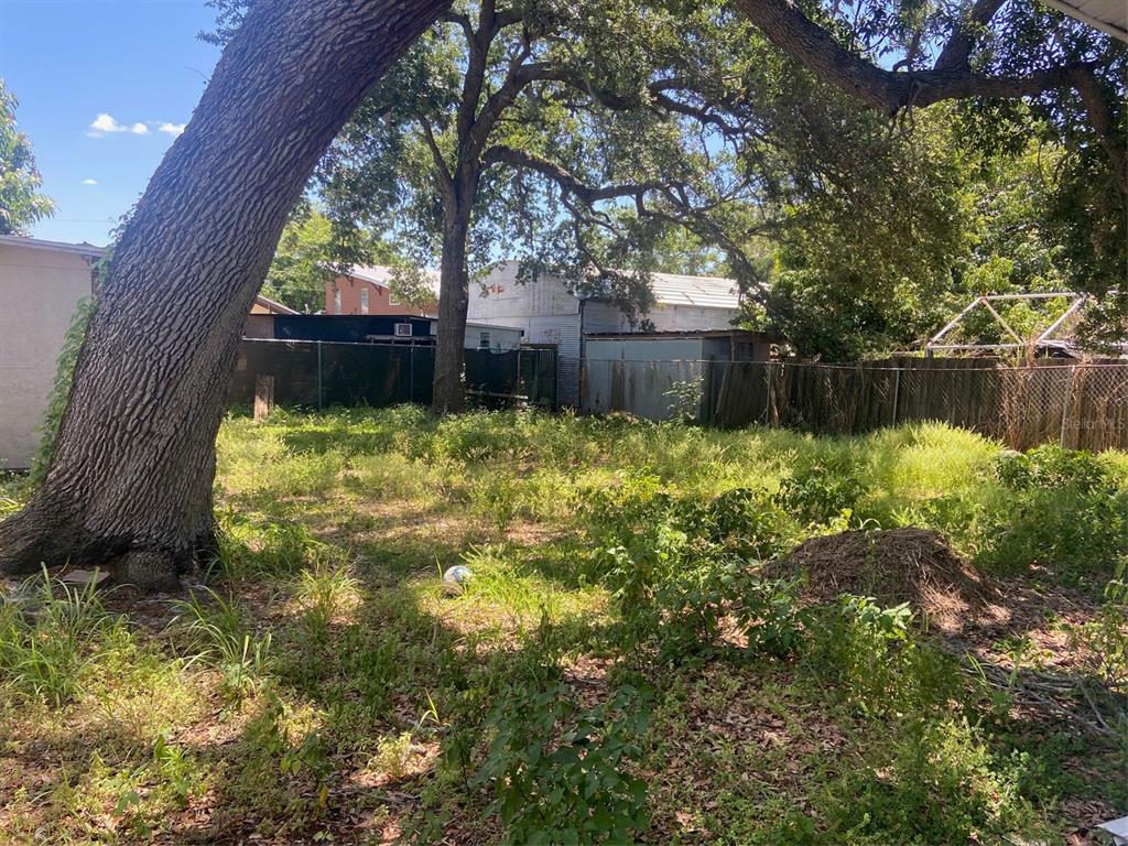 A large, mature tree stands in a grassy, overgrown backyard with a chain-link fence — 3303 19TH STREET COURT E, BRADENTON, FL