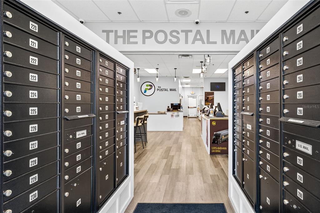 A postal store interior features rows of black mailboxes lining walls leading to a service counter — 2751 E COUNTY LINE ROAD, LUTZ, FL