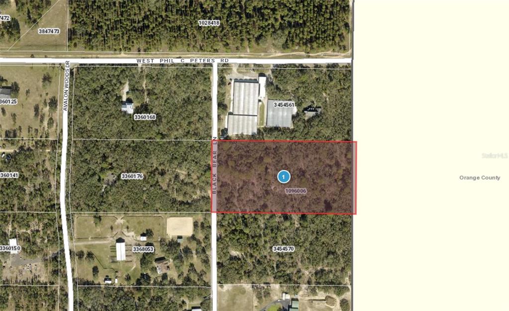This is an aerial map showing a rectangular parcel of land highlighted in red — 9940 BLACK BEAR LANE, WINTER GARDEN, FL