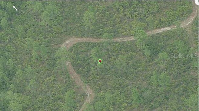 An aerial view shows a dirt road winding through a dense, wooded forest area — FORT CHRISTMAS ROAD, ORLANDO, FL