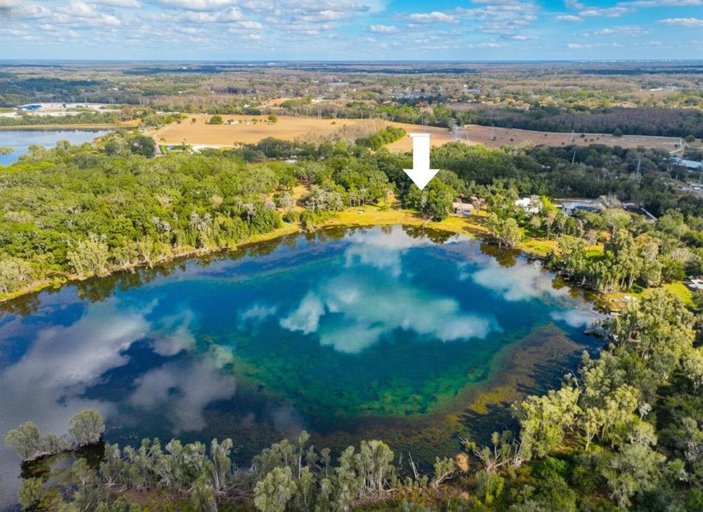 An aerial view shows a house nestled in trees beside a clear, circular lake — 9906 GUNN HIGHWAY, ODESSA, FL