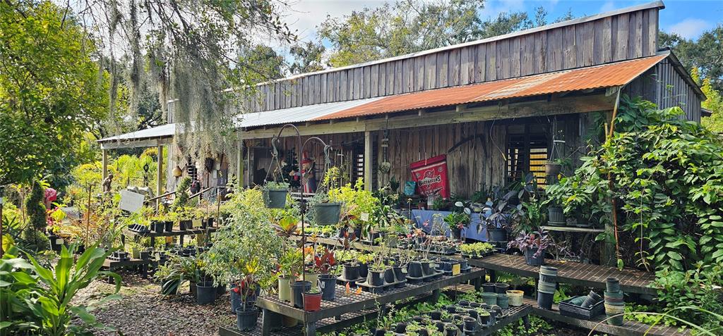A rustic wooden building with a corrugated metal roof serves as an outdoor plant nursery — 9906 GUNN HIGHWAY, ODESSA, FL