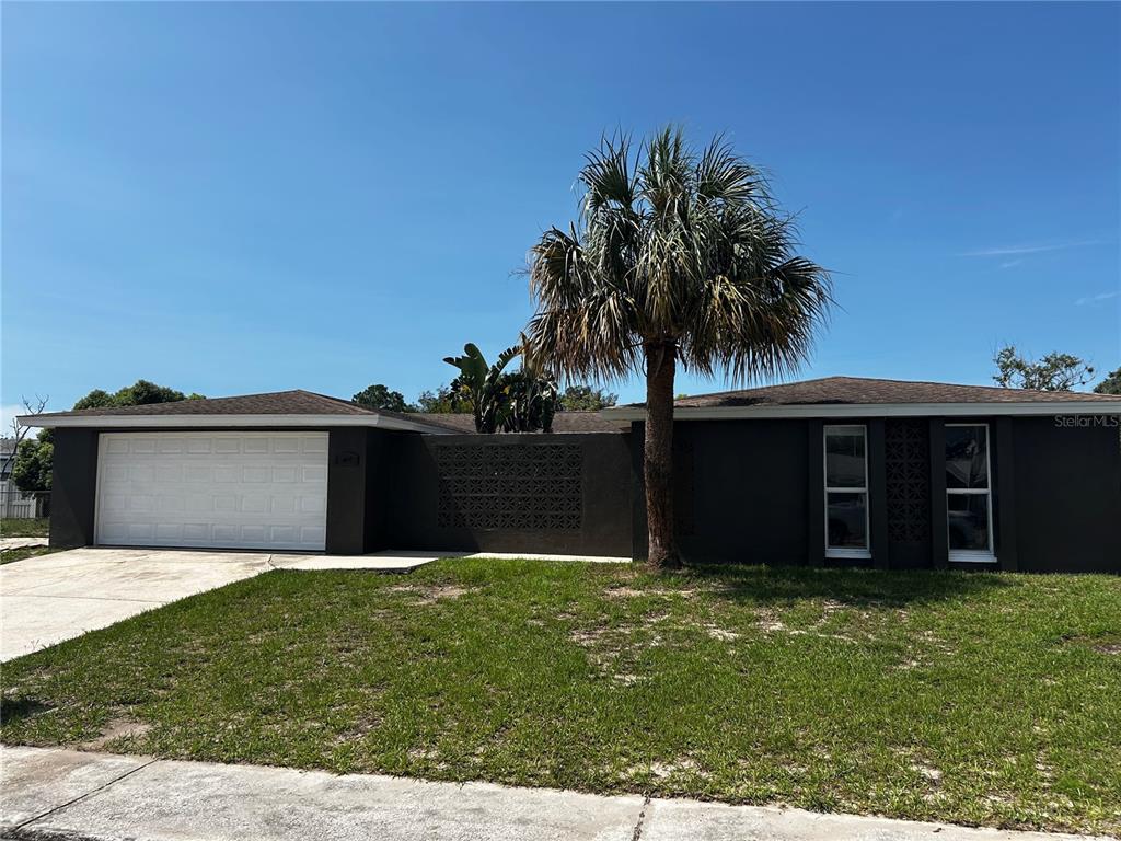A single-story house with a dark exterior, a white garage door, and a palm tree — 7335 GULF HIGHLANDS DRIVE, PORT RICHEY, FL
