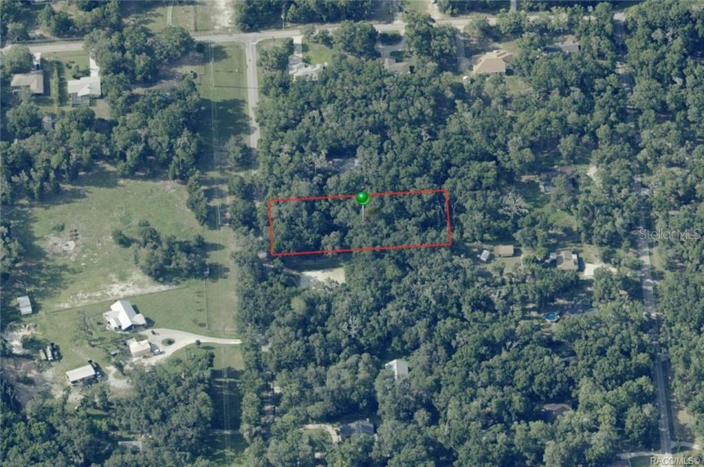 An aerial view shows a rectangular plot of land outlined in red amidst dense trees — 3987 S BIG AL POINT, INVERNESS, FL