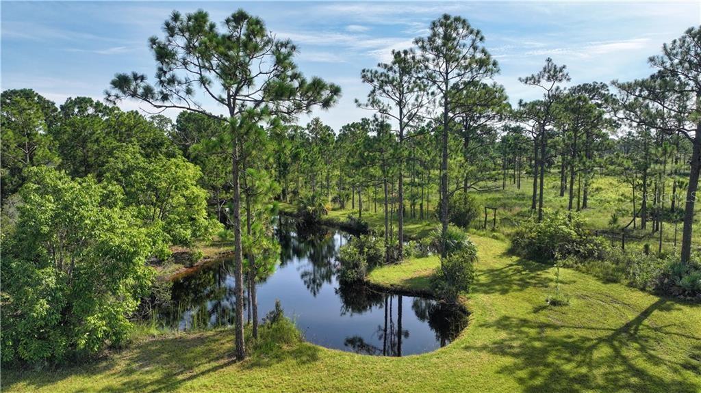 An aerial view shows a small pond surrounded by pine trees and grassy land — 12050 138TH AVENUE, FELLSMERE, FL