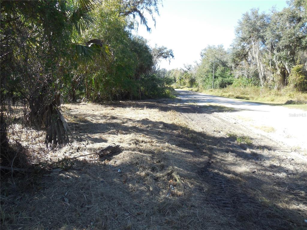 A dirt road runs alongside a cleared, grassy lot bordered by trees and vegetation — 152 TALL OAK TRAIL, ZOLFO SPRINGS, FL