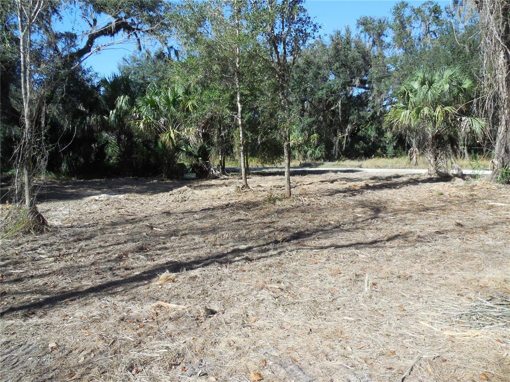 A cleared, grassy lot features several trees and palm trees under a clear blue sky — 152 TALL OAK TRAIL, ZOLFO SPRINGS, FL