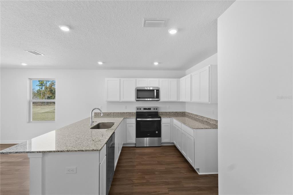 A kitchen features white cabinets, granite countertops, stainless steel appliances, and wood-look flooring — 16294 NW 143RD WAY, ALACHUA, FL