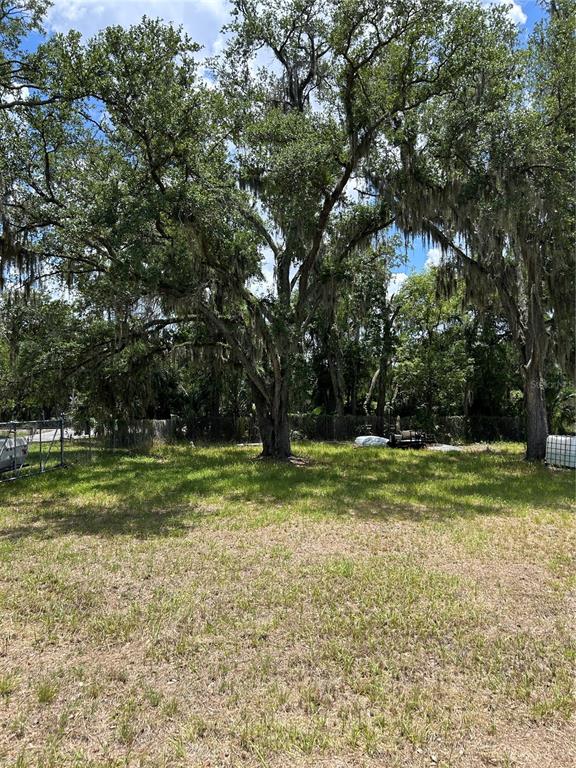 A large, moss-draped oak tree stands in the center of a grassy, fenced-in lot — 0 N WARNELL STREET, PLANT CITY, FL